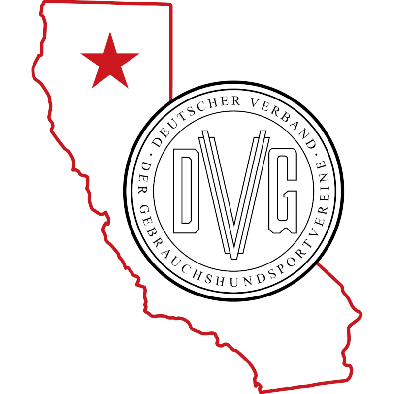 DVG 2025 Championship Logo